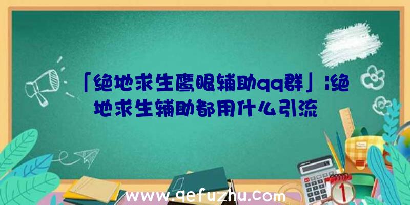 「绝地求生鹰眼辅助qq群」|绝地求生辅助都用什么引流